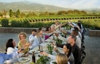Meet in Sonoma Wine Country