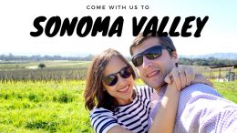 Sonoma-Valley-Wineries-Tour-Best-Wineries-Itinerary-California-VLOG