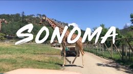 Sonoma-Wine-Country-Travel-Guide